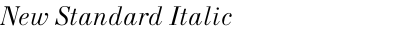 New Standard Italic